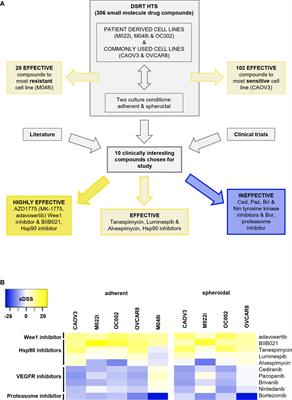 Effects of Wee1 inhibitor adavosertib on patient-derived high-grade serous ovarian cancer cells are multiple and independent of homologous recombination status